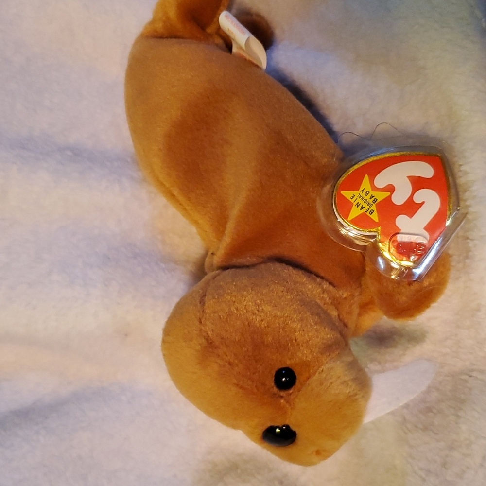Tusk the Walrus Beanie Baby with trading card and acrylic case
